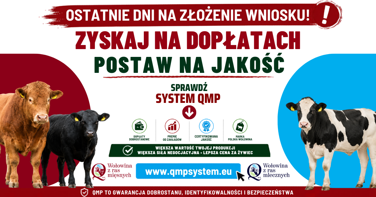 Dodatkowe pieniądze dla hodowców z QMP – tylko do 1 czerwca!