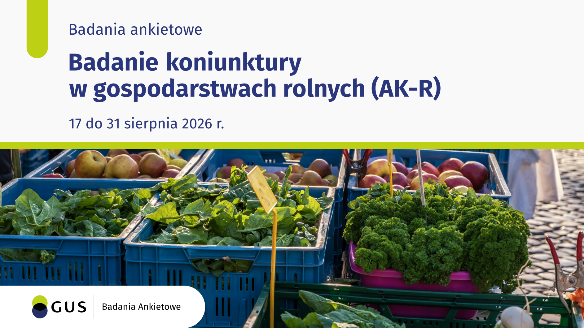 Badanie koniunktury w gospodarstwach rolnych